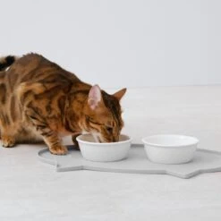 Navaris Siliconen Voederbakmat Voor Katten - Waterdichte Anti-slip Mat Voor Voerbak En Waterbak - 50x32 Cm - In Grijs Kattendesign -Huisdierbenodigdheden Korting 1200x1200 2613