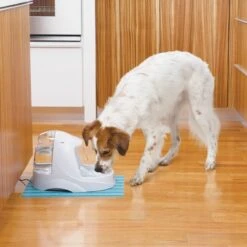 Petsafe Drinkwell Platinum - Drinkfontein - 5 L -Huisdierbenodigdheden Korting 1200x1200 2621