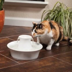 Petsafe Drinkwell Ceramic Avalon - Drinkfontein - 2 L -Huisdierbenodigdheden Korting 1200x1200 2625