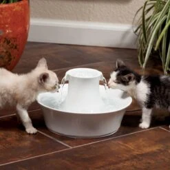 Petsafe Drinkwell Ceramic Avalon - Drinkfontein - 2 L -Huisdierbenodigdheden Korting 1200x1200 2626