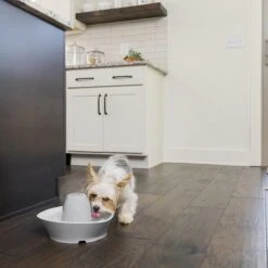 PetSafe® Streamside Ceramic Pet Fountain - Keramische Drinkfontein Voor Katten En Kleine Honden - Water Borrelt Zacht Over De Toren - Door Het Design Van Alle Kanten Bereikbaar - 1,8 Liter - PetSafe Streamside -Huisdierbenodigdheden Korting 1200x1200 2631