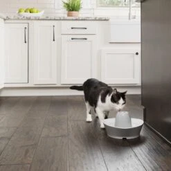 PetSafe® Streamside Ceramic Pet Fountain - Keramische Drinkfontein Voor Katten En Kleine Honden - Water Borrelt Zacht Over De Toren - Door Het Design Van Alle Kanten Bereikbaar - 1,8 Liter - PetSafe Streamside -Huisdierbenodigdheden Korting 1200x1200 2632