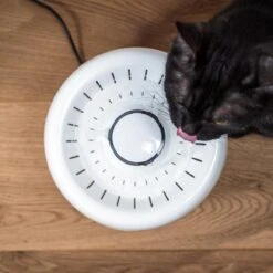 TrevoPet® Drinkfontein Kat - Waterfontein Kat - Kattenfontein - Fluisterstil - Drinkfontein - Drinkbak Kat - 2.5 Liter - Inclusief Filter - Wit -Huisdierbenodigdheden Korting 1200x1200 2642