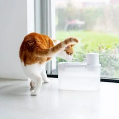 Hoopo® Agua - DRAADLOZE Waterfontein Katten - SMART Waterfontein Katten - UVC Disinfectie - 2 Liter - Automatische Katten Fontein 14 Hoopo® Agua - DRAADLOZE Waterfontein Katten - SMART Waterfontein Katten - UVC Disinfectie - 2 Liter - Automatische Katten Fontein -Huisdierbenodigdheden Korting 1200x1200 2645