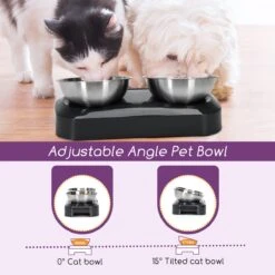 Nobleza Katten Voerbakjes - Ergonomische Dubbele Voerbak - Anti Braak Voerbak Voor Katten - Zwart - Dubbel - RVS -Huisdierbenodigdheden Korting 1200x1200 2650