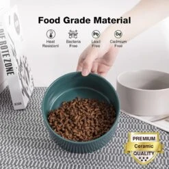 GIZMO 2x Voerbak Kat - 400 Ml - Groen - Keramische Drink- & Voerbakken Met Standaard - 13 Cm - 2 Stuks -Huisdierbenodigdheden Korting 1200x1200 2657