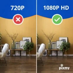 PIXMY - Automatische Voerbak Kat - 4L - Wi-Fi - Met App En Full HD Camera - Voerbak Kat -Huisdierbenodigdheden Korting 1200x1200 2666
