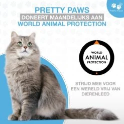 Pretty Paws PP002 Professionele Automatische Voerbak Kat- Stemrecorder - Voerautomaat - Katten Voerbak - Minimalistisch 27 Pretty Paws PP002 Professionele Automatische Voerbak Kat- Stemrecorder - Voerautomaat - Katten Voerbak - Minimalistisch -Huisdierbenodigdheden Korting 1200x1200 2675