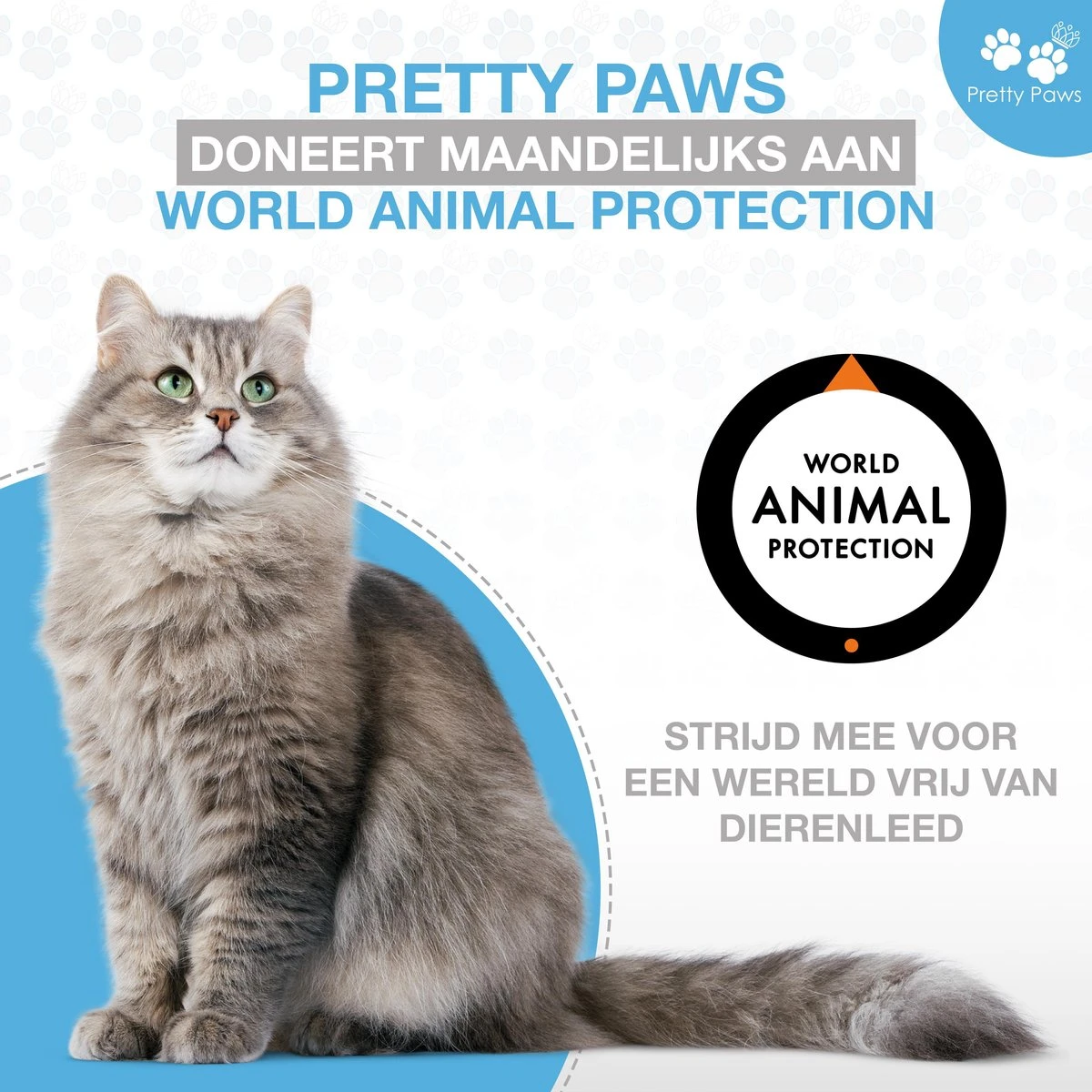 Pretty Paws PP002 Professionele Automatische Voerbak Kat- Stemrecorder - Voerautomaat - Katten Voerbak - Minimalistisch 15 Pretty Paws PP002 Professionele Automatische Voerbak Kat- Stemrecorder - Voerautomaat - Katten Voerbak - Minimalistisch - Image 13