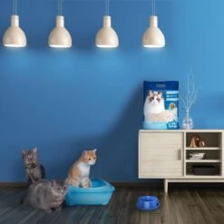 Nobleza 48REM - Tofu Kattenbakvulling - Snel Absorberend - 3.8 L - Klontvormend - 2 Kg -Huisdierbenodigdheden Korting 1200x1200 2697