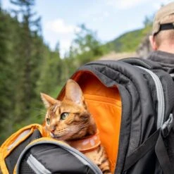 Hondenrugzak Voor Kleine Honden Met Diverse Opbergvakken - Voor Honden Tot 11 Kg - Kurgo G-train K9 - 33x53x25cm - Black -Huisdierbenodigdheden Korting 1200x1200 27