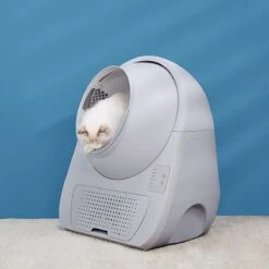 Catlink Smart Litter Box - Scooper Young - Zelfreinigende Kattenbak Zonder Wifi - Kleur Grijs -Huisdierbenodigdheden Korting 1200x1200 2743