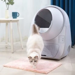 Catlink Smart Litter Box - Scooper Young - Zelfreinigende Kattenbak Zonder Wifi - Kleur Grijs -Huisdierbenodigdheden Korting 1200x1200 2745