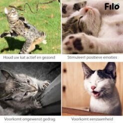 Filo Kattenspeelgoed Set 30 Stuks - Kattenspeeltje Kattentunnel - Kattenhengel - Kattenveertjes - Vis Met Kattenkruid - Kattenspeeltjes Intelligentie Kitten - Interactief Speelgoed Katten - Poezen Speeltjes -Huisdierbenodigdheden Korting 1200x1200 2787