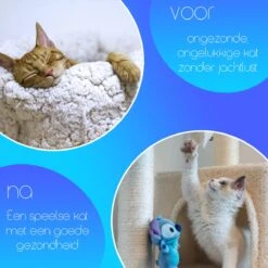 TocaToca Kip- Interactieve Zelf Bewegende Speeltje- Kattenspeeltjes- Intelligentie- Kattenspeelgoed- Kip Voor Katten- Laser- USB- Speelgoed- Geluid- Oranje -Huisdierbenodigdheden Korting 1200x1200 2808