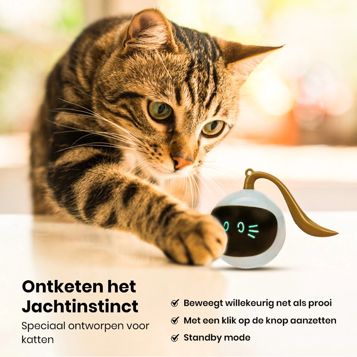 Otiume Interactieve Speelbal - Slimme Interactieve Jaag Speeltje Voor Katten - Kattenspeeltjes - Intelligente Jaagbal - AI -USB Oplaadbaar - LED - Blauw 4 Otiume Interactieve Speelbal - Slimme Interactieve Jaag Speeltje Voor Katten - Kattenspeeltjes - Intelligente Jaagbal - AI -USB Oplaadbaar - LED - Blauw - Image 2