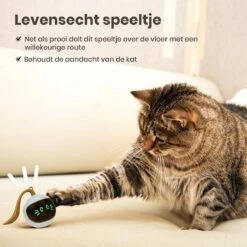 Otiume Interactieve Speelbal - Slimme Interactieve Jaag Speeltje Voor Katten - Kattenspeeltjes - Intelligente Jaagbal - AI -USB Oplaadbaar - LED - Blauw 14 Otiume Interactieve Speelbal - Slimme Interactieve Jaag Speeltje Voor Katten - Kattenspeeltjes - Intelligente Jaagbal - AI -USB Oplaadbaar - LED - Blauw -Huisdierbenodigdheden Korting 1200x1200 2812