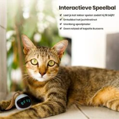 Otiume Interactieve Speelbal - Slimme Interactieve Jaag Speeltje Voor Katten - Kattenspeeltjes - Intelligente Jaagbal - AI -USB Oplaadbaar - LED - Blauw 15 Otiume Interactieve Speelbal - Slimme Interactieve Jaag Speeltje Voor Katten - Kattenspeeltjes - Intelligente Jaagbal - AI -USB Oplaadbaar - LED - Blauw -Huisdierbenodigdheden Korting 1200x1200 2813