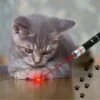 Katten Laser - Dierenwinkel Nederland -Huisdierbenodigdheden Korting 1200x1200 2820