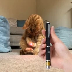 Katten Laser - Dierenwinkel Nederland -Huisdierbenodigdheden Korting 1200x1200 2821