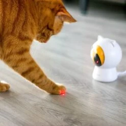 Pettadore - Laser Kattenspeeltjes - Smart Met Autoplay En Handmatig Via App -Huisdierbenodigdheden Korting 1200x1200 2847