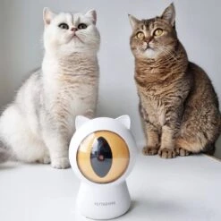 Pettadore - Laser Kattenspeeltjes - Smart Met Autoplay En Handmatig Via App -Huisdierbenodigdheden Korting 1200x1200 2849