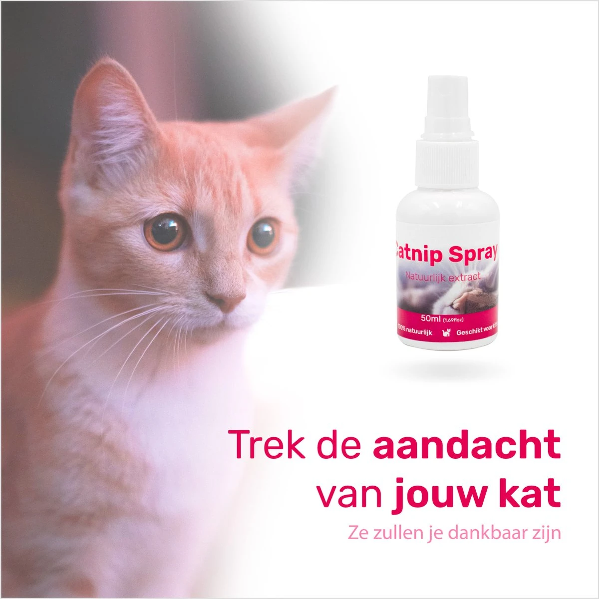 LBB - Catnip Spray 50ML - 100% Natuurlijk - CE Gekeurd - Kattenkruid Spray - Catnip Speelgoed - Valeriaan - Kat - Katten 5 LBB - Catnip Spray 50ML - 100% Natuurlijk - CE Gekeurd - Kattenkruid Spray - Catnip Speelgoed - Valeriaan - Kat - Katten - Image 3