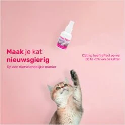 LBB - Catnip Spray 50ML - 100% Natuurlijk - CE Gekeurd - Kattenkruid Spray - Catnip Speelgoed - Valeriaan - Kat - Katten 11 LBB - Catnip Spray 50ML - 100% Natuurlijk - CE Gekeurd - Kattenkruid Spray - Catnip Speelgoed - Valeriaan - Kat - Katten -Huisdierbenodigdheden Korting 1200x1200 2865
