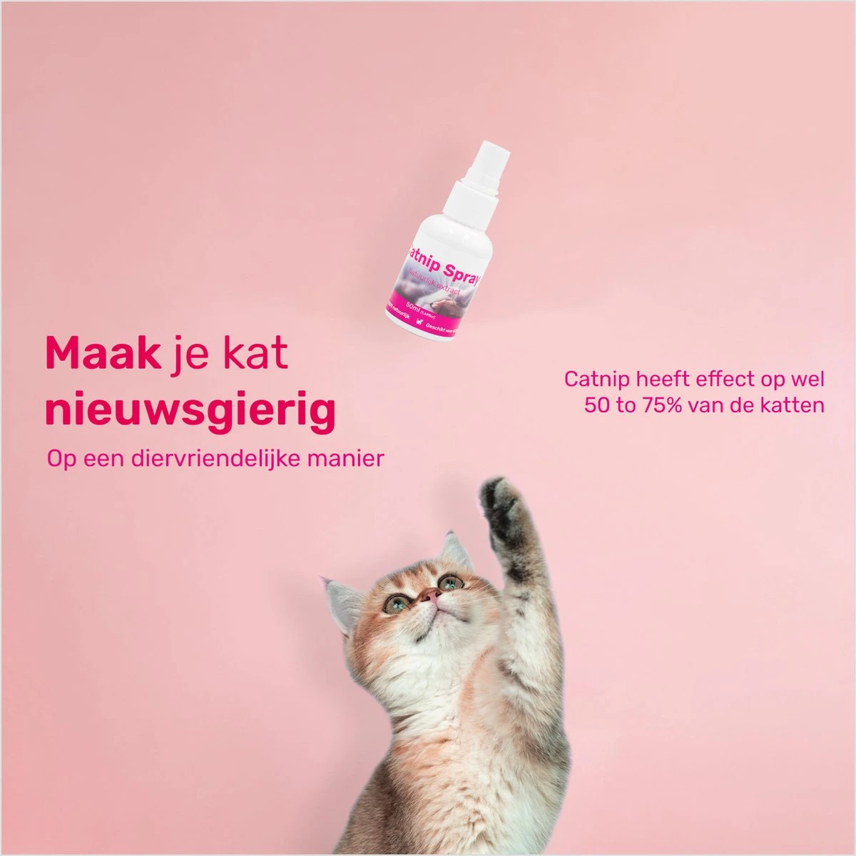 LBB - Catnip Spray 50ML - 100% Natuurlijk - CE Gekeurd - Kattenkruid Spray - Catnip Speelgoed - Valeriaan - Kat - Katten 7 LBB - Catnip Spray 50ML - 100% Natuurlijk - CE Gekeurd - Kattenkruid Spray - Catnip Speelgoed - Valeriaan - Kat - Katten - Image 5