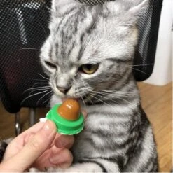 Merkloos EPIN | Kattenkruid Lik Snoepje | Plak Strip | Katten Snacks | Katten Snoep -Huisdierbenodigdheden Korting 1200x1200 2866