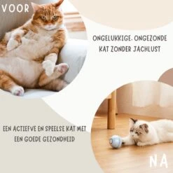 MyBuddy - Interactieve Zelf Rollende Bal - Kattenspeeltjes - Kattenspeelgoed - Bal Voor Katten - LED Lights - Speelgoed - USB - Roze -Huisdierbenodigdheden Korting 1200x1200 2867