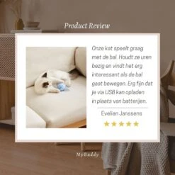 MyBuddy - Interactieve Zelf Rollende Bal - Kattenspeeltjes - Kattenspeelgoed - Bal Voor Katten - LED Lights - Speelgoed - USB - Roze -Huisdierbenodigdheden Korting 1200x1200 2869