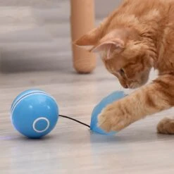 Otiume Elektrische Speelbal - Slimme Interactieve Zelfrollende Bal - Speelgoed Voor Katten - Kattenspeelgoed - Blauw -Huisdierbenodigdheden Korting 1200x1200 2870