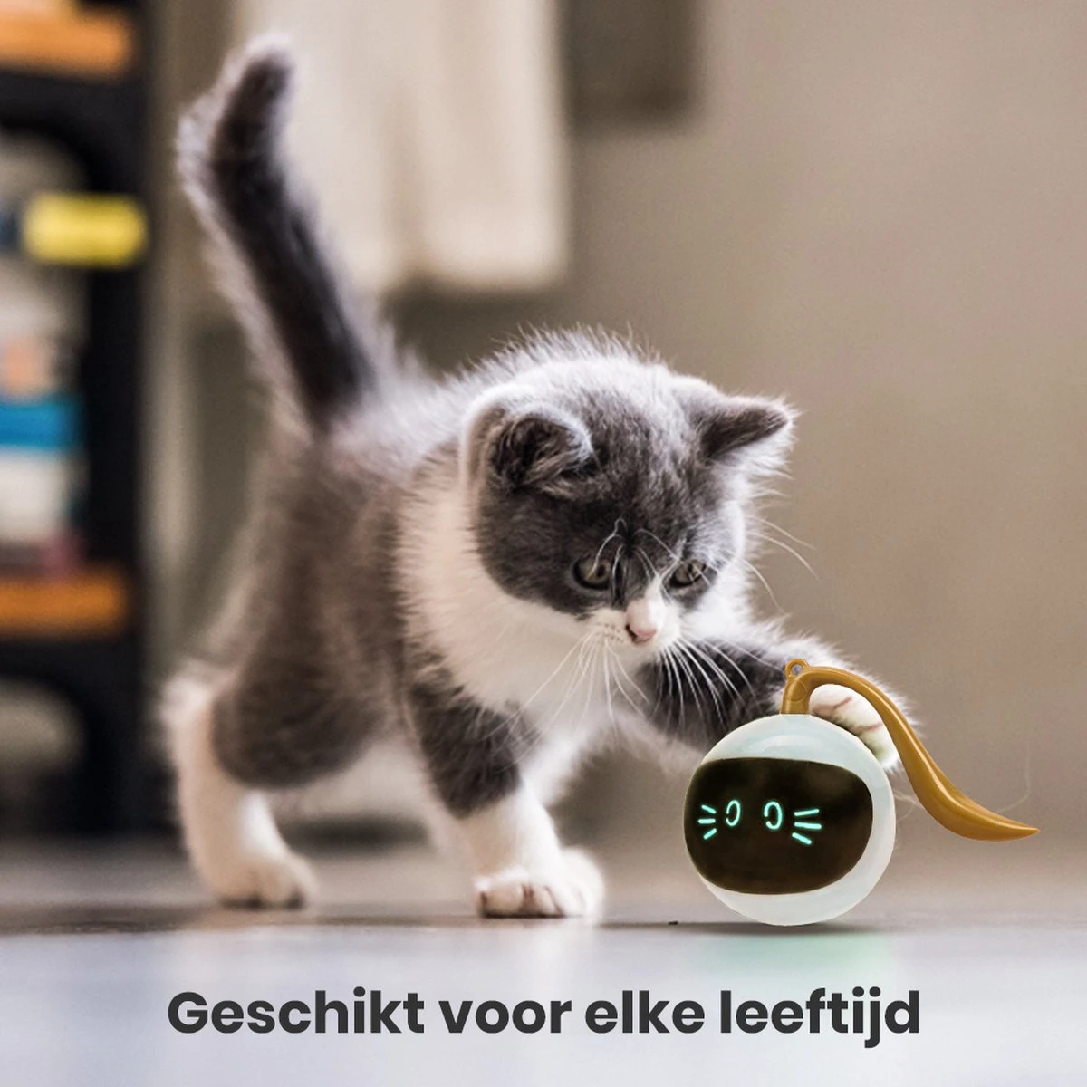 Otiume Slimme Katten Speeltje - Interactieve Zelf Rollende Bal Voor Katten - Kattenspeeltjes -Speelgoed Voor Dieren - USB Oplaadbaar 4 Otiume Slimme Katten Speeltje - Interactieve Zelf Rollende Bal Voor Katten - Kattenspeeltjes -Speelgoed Voor Dieren - USB Oplaadbaar - Image 2