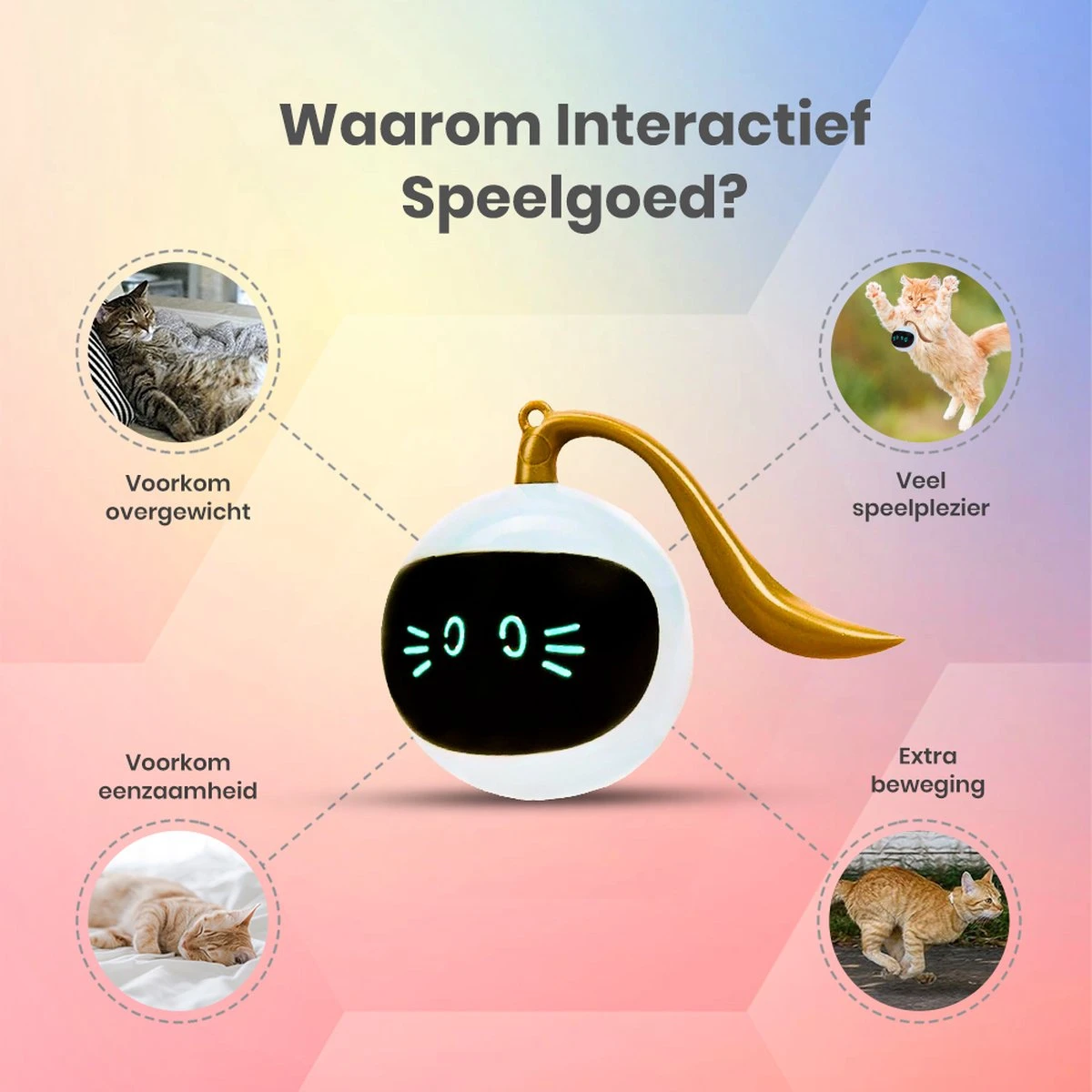 Otiume Slimme Katten Speeltje - Interactieve Zelf Rollende Bal Voor Katten - Kattenspeeltjes -Speelgoed Voor Dieren - USB Oplaadbaar 8 Otiume Slimme Katten Speeltje - Interactieve Zelf Rollende Bal Voor Katten - Kattenspeeltjes -Speelgoed Voor Dieren - USB Oplaadbaar - Image 6