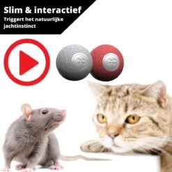 Cheerble Mini Ball 2.0 - Slimme Interactieve Zelf Rollende Bal Voor Katten - 3 Speelmodi - Kattenspeeltjes - USB Oplaadbaar - Rood 19 Cheerble Mini Ball 2.0 - Slimme Interactieve Zelf Rollende Bal Voor Katten - 3 Speelmodi - Kattenspeeltjes - USB Oplaadbaar - Rood -Huisdierbenodigdheden Korting 1200x1200 2877