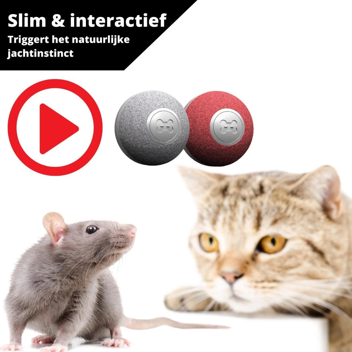 Cheerble Mini Ball 2.0 - Slimme Interactieve Zelf Rollende Bal Voor Katten - 3 Speelmodi - Kattenspeeltjes - USB Oplaadbaar - Rood 8 Cheerble Mini Ball 2.0 - Slimme Interactieve Zelf Rollende Bal Voor Katten - 3 Speelmodi - Kattenspeeltjes - USB Oplaadbaar - Rood - Image 6