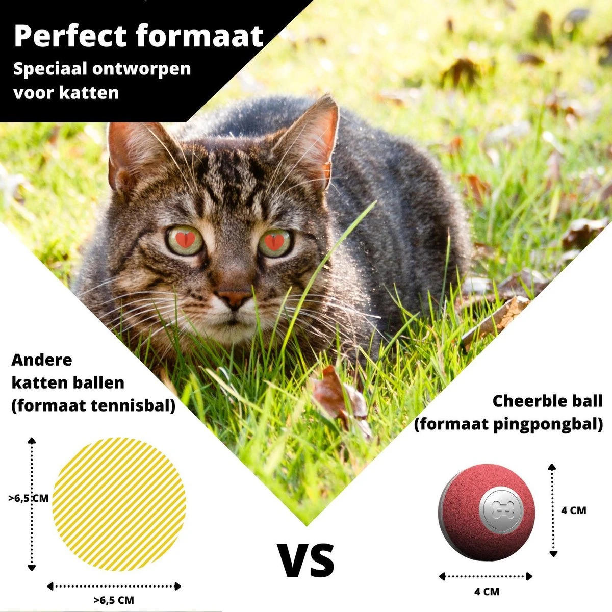 Cheerble Mini Ball 2.0 - Slimme Interactieve Zelf Rollende Bal Voor Katten - 3 Speelmodi - Kattenspeeltjes - USB Oplaadbaar - Rood 9 Cheerble Mini Ball 2.0 - Slimme Interactieve Zelf Rollende Bal Voor Katten - 3 Speelmodi - Kattenspeeltjes - USB Oplaadbaar - Rood - Image 7