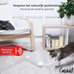 Catchit!® Interactieve Zelfrollende Bal Katten - Kattenspeeltjes - Inclusief USB Kabel En Staartjes - Kattenspeelgoed - Smart - Grijs -Huisdierbenodigdheden Korting 1200x1200 2880