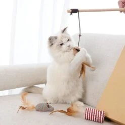 GIZMO Luxe Kattenspeeltjes Set - 7 Speeltjes - Interactieve Kattenhengel, Kattenspeelgoed & Speelmuisjes - Kitten Speeltjes -Huisdierbenodigdheden Korting 1200x1200 2887