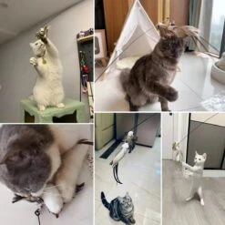 Kattenspeelgoed - Simulatie Vogel - Interactieve Grappige Kattenspeeltjes - Kattenhengel Met Zuignap + 4 Vogels + Een Kattenhengel GRATIS -Huisdierbenodigdheden Korting 1200x1200 2890