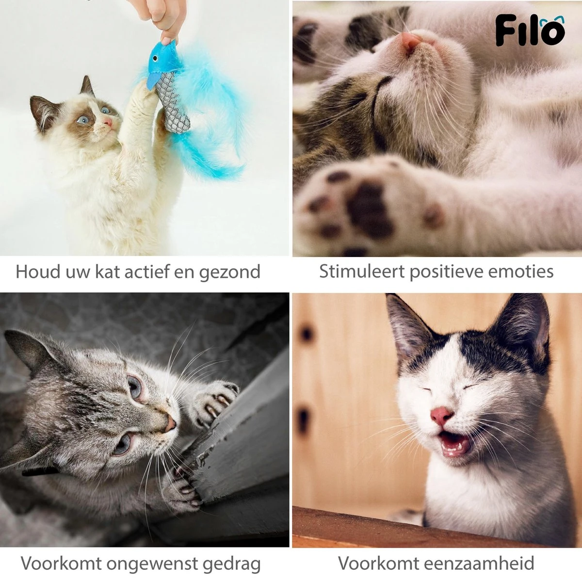 Filo Kattenhengel Set + 12 Kattenspeeltjes – Speelhengels Interactief Kattenspeelgoed – Hengel Kattenspeeltje Kittens - Speelgoed Speelhengel Vis Kat En Kitten 8 Filo Kattenhengel Set + 12 Kattenspeeltjes – Speelhengels Interactief Kattenspeelgoed – Hengel Kattenspeeltje Kittens - Speelgoed Speelhengel Vis Kat En Kitten - Image 6