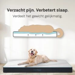 CozySense® - Orthopedisch Hondenkussen - Hondenkussen 90 X 55 Cm - Ook Geschikt Als Benchkussen & Hondenbed - Hondenkussen Bank - Traagschuim - Waterdicht - Wasbare Hoes - Maat L 12 CozySense® - Orthopedisch Hondenkussen - Hondenkussen 90 X 55 Cm - Ook Geschikt Als Benchkussen & Hondenbed - Hondenkussen Bank - Traagschuim - Waterdicht - Wasbare Hoes - Maat L -Huisdierbenodigdheden Korting 1200x1200 29