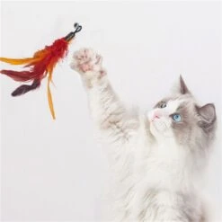 Merkloos Kattenhengel Met 10 Opzetstukjes - Kat Speelhengel Met Veren - Speelgoed Hengel Voor Katten – Kittenspeeltjes Met Veer – Kattenspeelgoed – Katten Speeltjes -Huisdierbenodigdheden Korting 1200x1200 2901