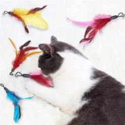 Merkloos Kattenhengel Met 10 Opzetstukjes - Kat Speelhengel Met Veren - Speelgoed Hengel Voor Katten – Kittenspeeltjes Met Veer – Kattenspeelgoed – Katten Speeltjes -Huisdierbenodigdheden Korting 1200x1200 2902