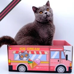 Make Me Purr Kattendoos Van Karton (Ice Cream) - Inclusief Kartonnen Krabmat - Speelgoed Doos Voor Katten Met Krab Mat - Kat Krabpaal Speeltje - Kattenbed Kattenmand Kattenhuis Kattentunnel - Kattenspeelgoed - Kattenspeeltjes - Kitten Speeltjes -Huisdierbenodigdheden Korting 1200x1200 2917