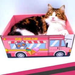 Make Me Purr Kattendoos Van Karton (Ice Cream) - Inclusief Kartonnen Krabmat - Speelgoed Doos Voor Katten Met Krab Mat - Kat Krabpaal Speeltje - Kattenbed Kattenmand Kattenhuis Kattentunnel - Kattenspeelgoed - Kattenspeeltjes - Kitten Speeltjes -Huisdierbenodigdheden Korting 1200x1200 2918