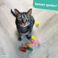 Moowi - Springveren 30 Stuks - Kat - Kattenveertjes - Kattenspeelgoed -Huisdierbenodigdheden Korting 1200x1200 2938