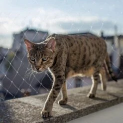 Kattennet Premium - 600 X 300 CM - Kattennet Voor Balkon - Transparant - Balkon Net - Makkelijk Te Monteren 14 Kattennet Premium - 600 X 300 CM - Kattennet Voor Balkon - Transparant - Balkon Net - Makkelijk Te Monteren -Huisdierbenodigdheden Korting 1200x1200 2960