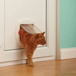 Petsafe 200 Kattenluik - Wit - L - 29,4 X 29,5 X 5 Cm -Huisdierbenodigdheden Korting 1200x1200 2975